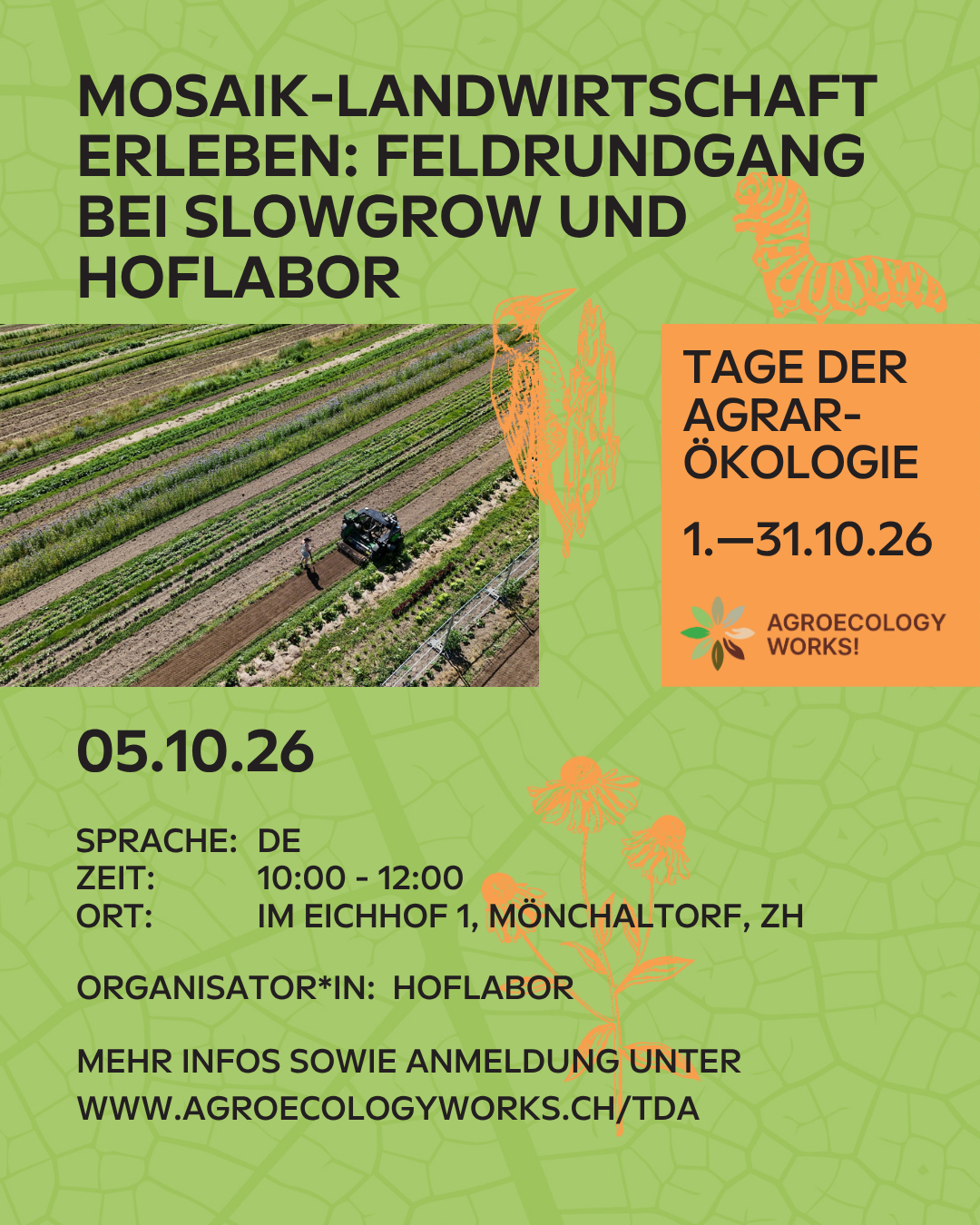 Flyer: Mosaik-Landwirtschaft erleben, Feldrundgang bei SlowGrow und HofLabor, Montag 5. Oktober 2026, 10:00–12:00 Uhr, Im Eichhof 1, Mönchaltorf